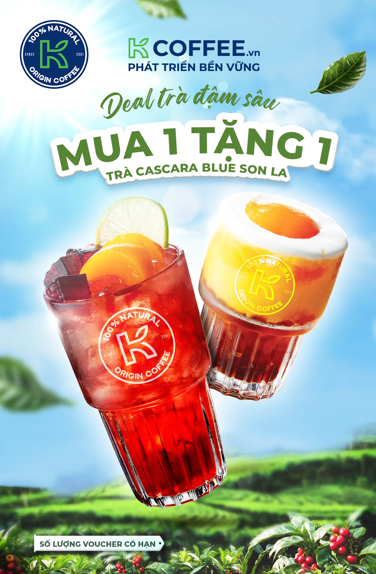 k coffee voucher