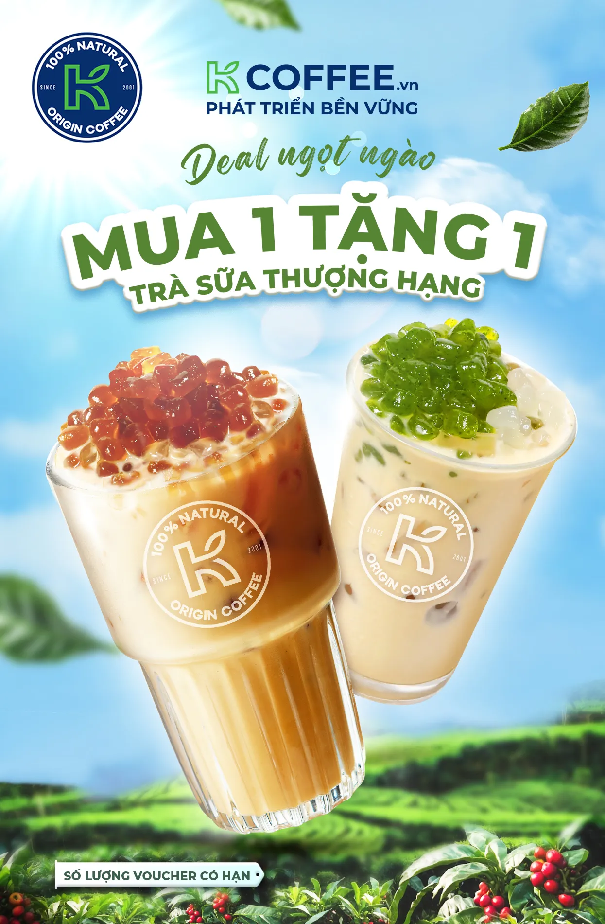 k coffee voucher